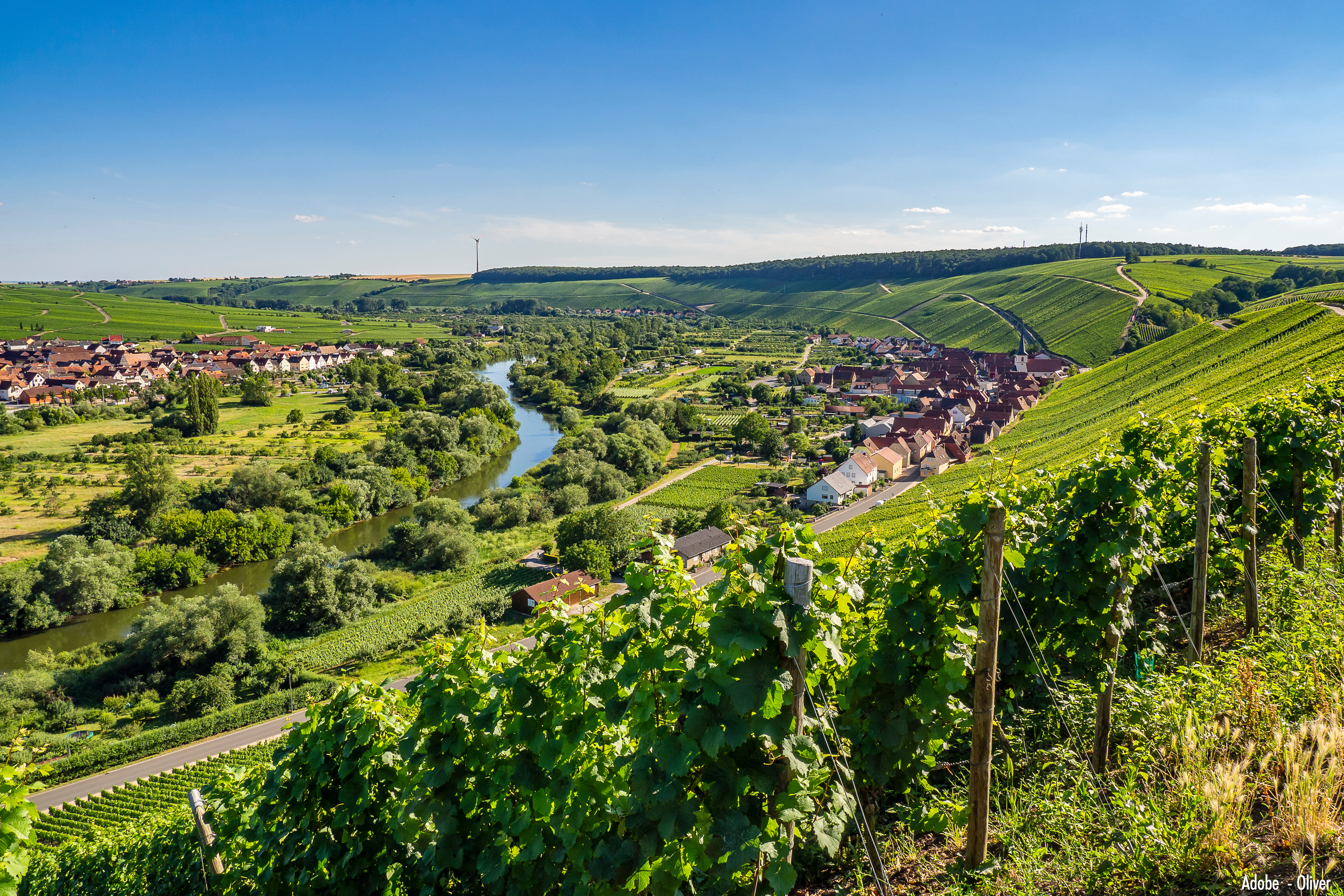 Weinbau-Franken-Frankenwein-Mainschleife-Zerres-Gourmet-Feinkost-Blog
